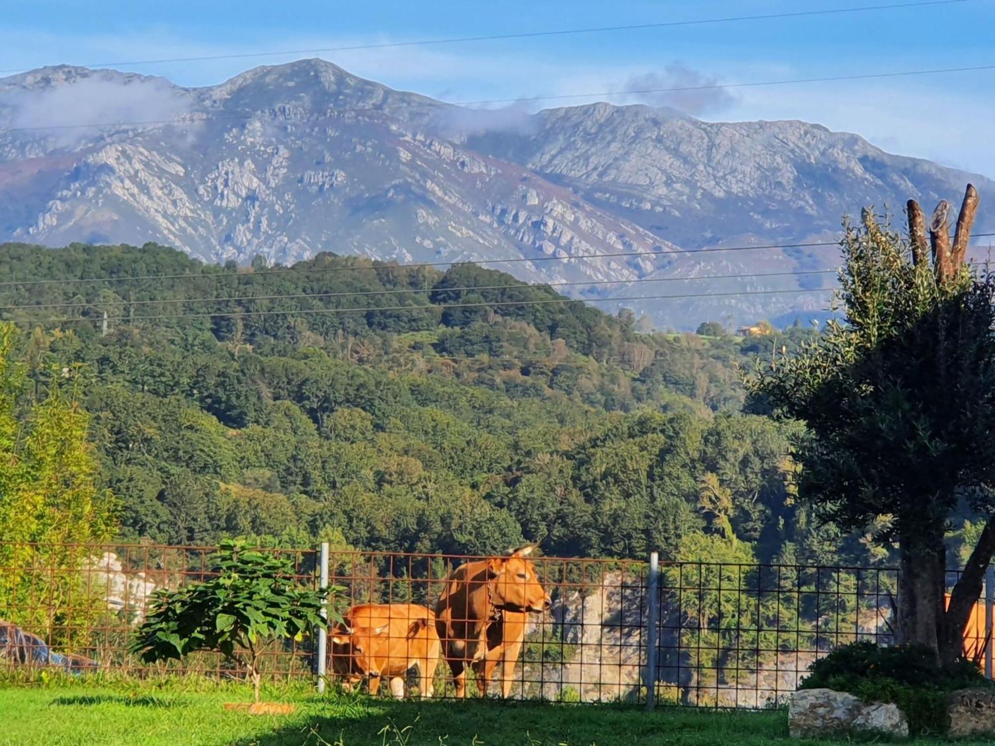 La Torre De Llames Arriondas Exteriér fotografie